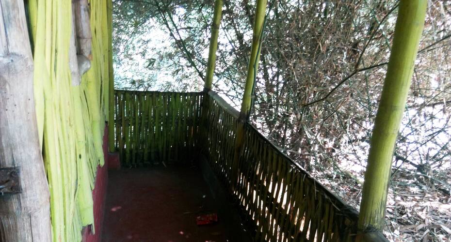 Muthanga Homestay, Wayanad 5